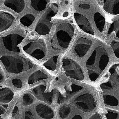 Graphene Foam Graphene Foam