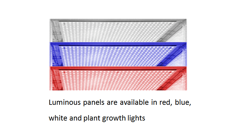 Illumination Incubator